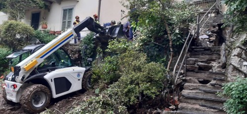 Image-Article